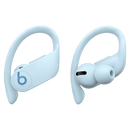 Beats by Dr. Dre - Powerbeats Pro Totally Wireless Earphones