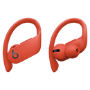 Beats by Dr. Dre - Powerbeats Pro Totally Wireless Earphones
