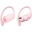 Beats by Dr. Dre - Powerbeats Pro Totally Wireless Earphones